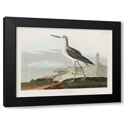 Greenshank Black Modern Wood Framed Art Print by Audubon, John James