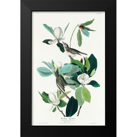 Warbling Flycatcher Black Modern Wood Framed Art Print by Audubon, John James