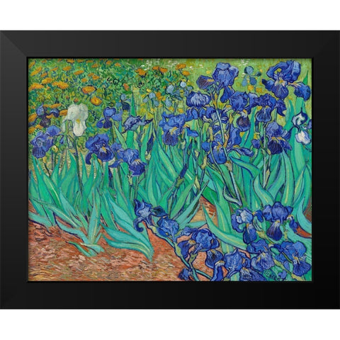 Irises (1889) Black Modern Wood Framed Art Print by Van Gogh, Vincent
