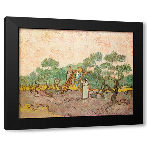 Women Picking Olives (1889) Black Modern Wood Framed Art Print with Double Matting by Van Gogh, Vincent
