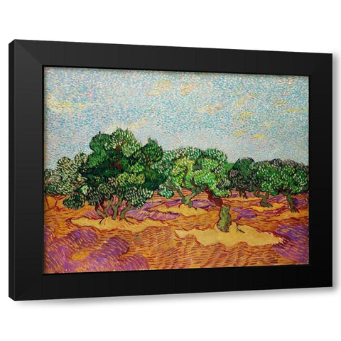 Olive Trees (1889) Black Modern Wood Framed Art Print with Double Matting by Van Gogh, Vincent