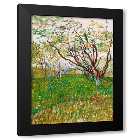 The Flowering Orchard (1888) Black Modern Wood Framed Art Print with Double Matting by Van Gogh, Vincent