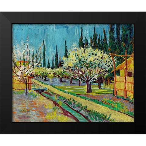 Orchard Bordered by Cypresses (1888) Black Modern Wood Framed Art Print by Van Gogh, Vincent