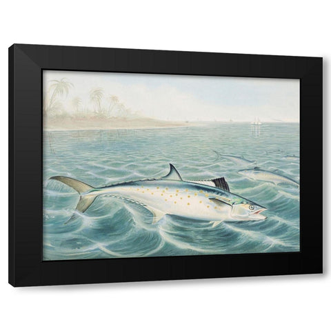 Red Drum Black Modern Wood Framed Art Print with Double Matting by Kilbourne, Samuel
