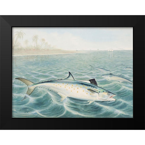 Red Drum Black Modern Wood Framed Art Print by Kilbourne, Samuel