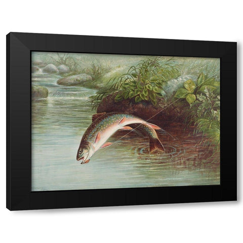 Leaping Brook Trout Black Modern Wood Framed Art Print with Double Matting by Kilbourne, Samuel