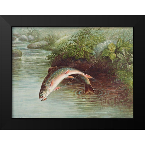 Leaping Brook Trout Black Modern Wood Framed Art Print by Kilbourne, Samuel