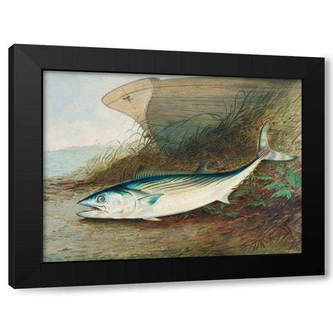 Mackerel Black Modern Wood Framed Art Print by Kilbourne, Samuel