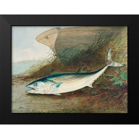 Mackerel Black Modern Wood Framed Art Print by Kilbourne, Samuel