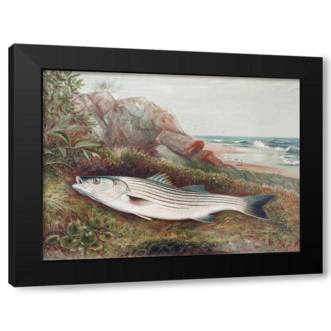 Striped bonito Black Modern Wood Framed Art Print by Kilbourne, Samuel