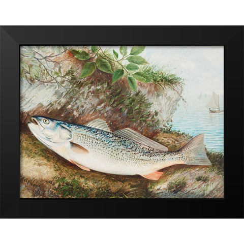 The Weakfish Black Modern Wood Framed Art Print by Kilbourne, Samuel