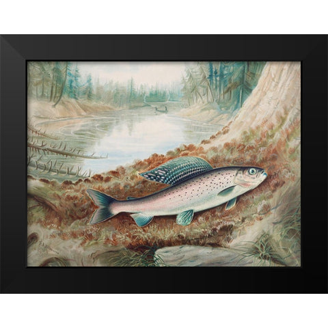 Arctic Grayling Black Modern Wood Framed Art Print by Kilbourne, Samuel