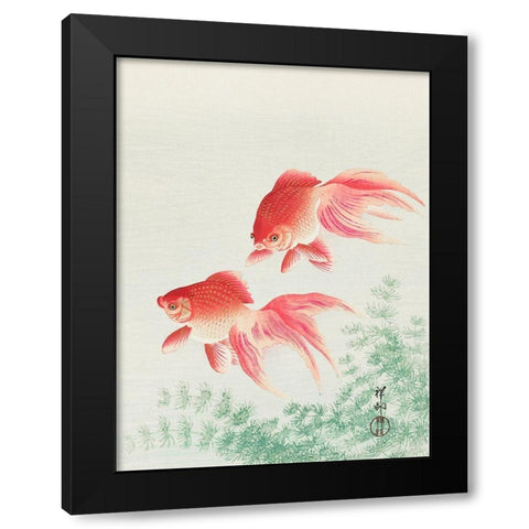 Two veil goldfish Black Modern Wood Framed Art Print by Koson, Ohara