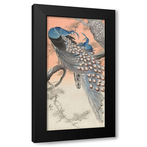 Two peacocks on tree branch Black Modern Wood Framed Art Print with Double Matting by Koson, Ohara