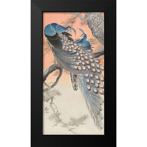 Two peacocks on tree branch Black Modern Wood Framed Art Print by Koson, Ohara