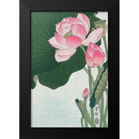 Blooming lotus flowers Black Modern Wood Framed Art Print by Koson, Ohara