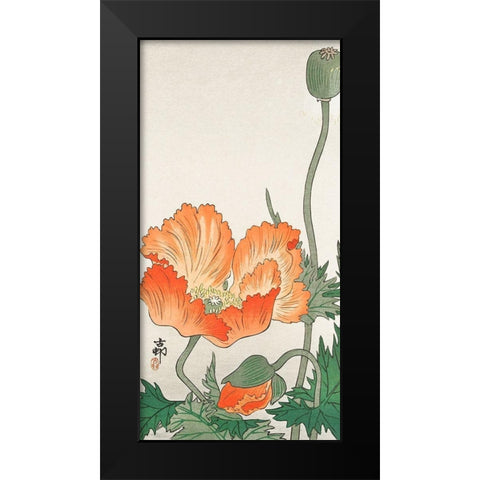 Orange Poppy Black Modern Wood Framed Art Print by Koson, Ohara