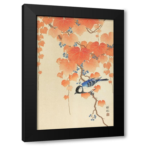 Great tit on paulownia branch Black Modern Wood Framed Art Print with Double Matting by Koson, Ohara