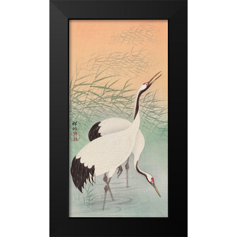 Two cranes Black Modern Wood Framed Art Print by Koson, Ohara