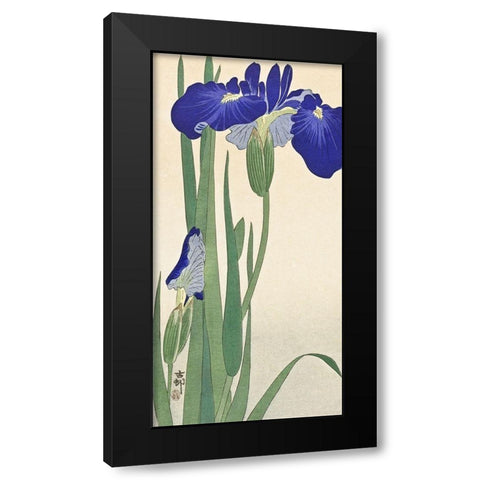 Blue Irises Black Modern Wood Framed Art Print by Koson, Ohara