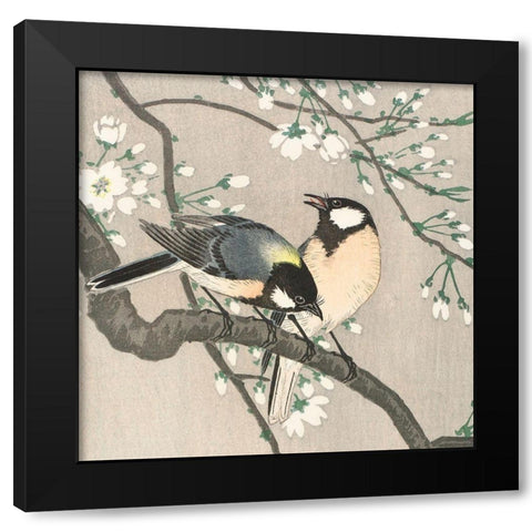 Tits on Cherry Branch Black Modern Wood Framed Art Print by Koson, Ohara
