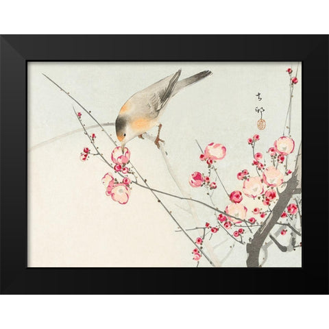 Songbird on blossom branch Black Modern Wood Framed Art Print by Koson, Ohara