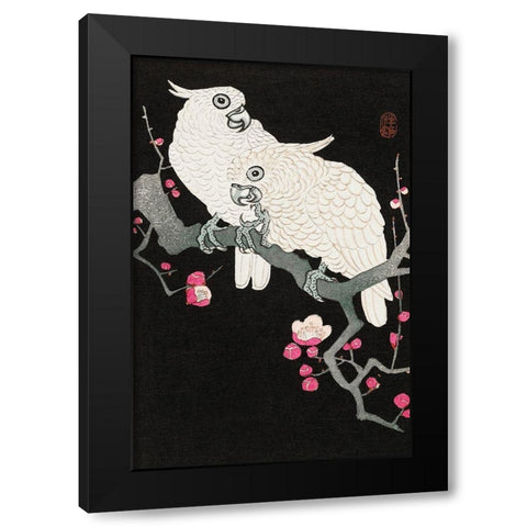 Two cockatoo and plum blossom Black Modern Wood Framed Art Print with Double Matting by Koson, Ohara