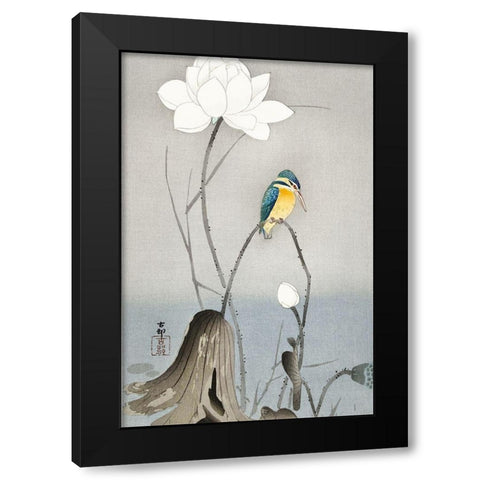 Kingfisher with Lotus Flower Black Modern Wood Framed Art Print by Koson, Ohara