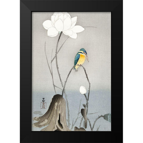 Kingfisher with Lotus Flower Black Modern Wood Framed Art Print by Koson, Ohara