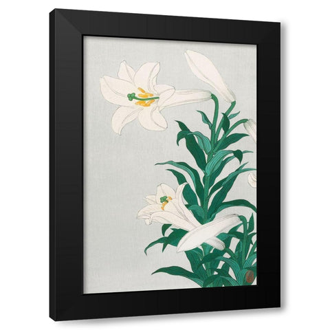 Lilies, Ohara Black Modern Wood Framed Art Print by Koson, Ohara