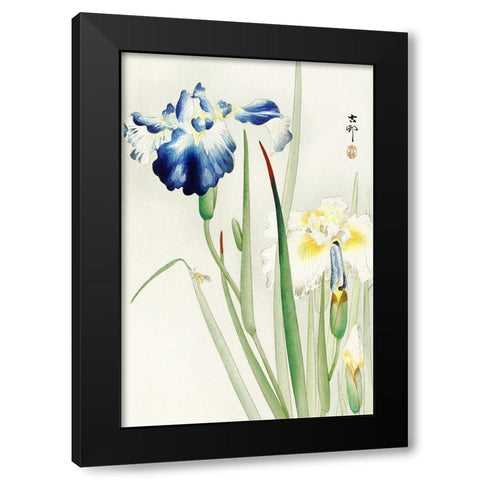 Irises Black Modern Wood Framed Art Print by Koson, Ohara