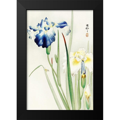 Irises Black Modern Wood Framed Art Print by Koson, Ohara