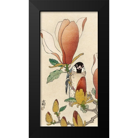 Sparrow on blooming magnolia branch Black Modern Wood Framed Art Print by Koson, Ohara