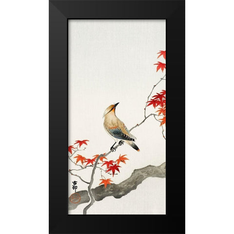 Japanese plague bird on maple Black Modern Wood Framed Art Print by Koson, Ohara