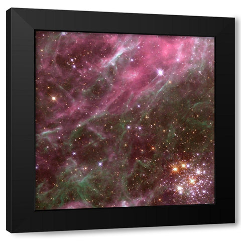 Tarantula Nebula Black Modern Wood Framed Art Print with Double Matting by NASA