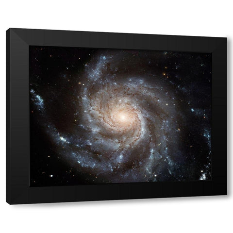 Pinwheel Galaxy Black Modern Wood Framed Art Print with Double Matting by NASA