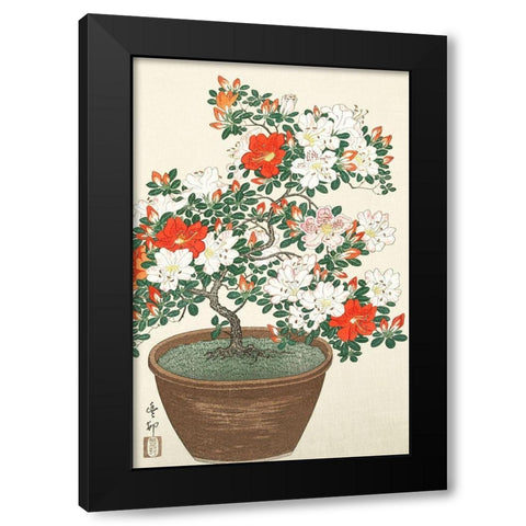 Blooming azalea in brown pot Black Modern Wood Framed Art Print with Double Matting by Koson, Ohara