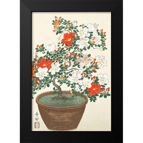 Blooming azalea in brown pot Black Modern Wood Framed Art Print by Koson, Ohara