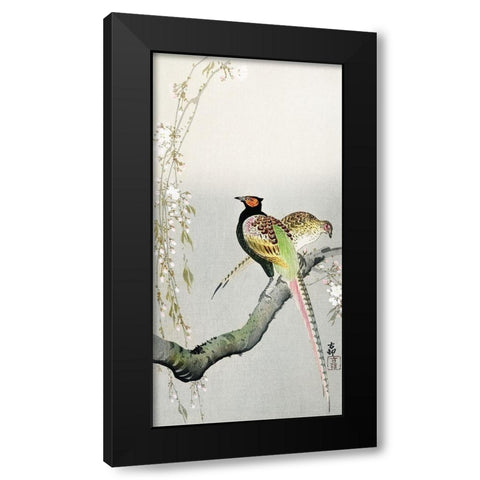 Couple pheasants and cherry blossom Black Modern Wood Framed Art Print with Double Matting by Koson, Ohara