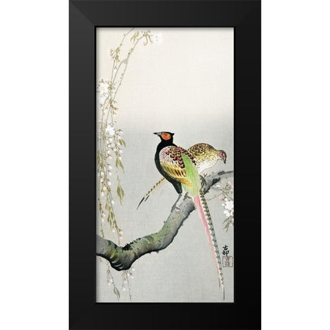 Couple pheasants and cherry blossom Black Modern Wood Framed Art Print by Koson, Ohara
