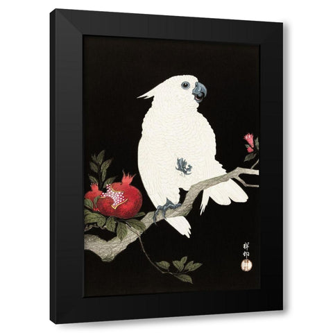 Cockatoo and pomegranate Black Modern Wood Framed Art Print with Double Matting by Koson, Ohara