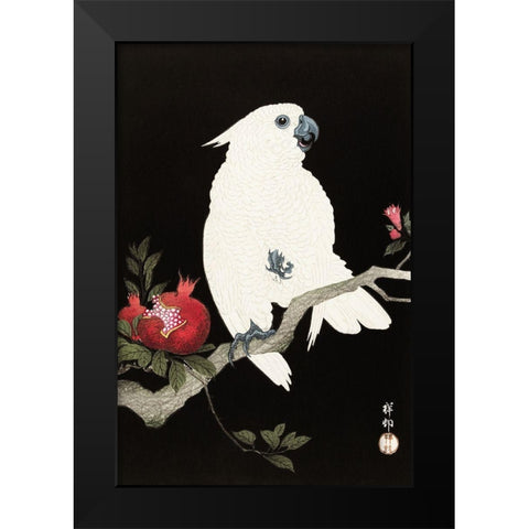 Cockatoo and pomegranate Black Modern Wood Framed Art Print by Koson, Ohara