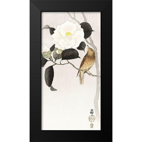 Songbird and flowering camellia Black Modern Wood Framed Art Print by Koson, Ohara