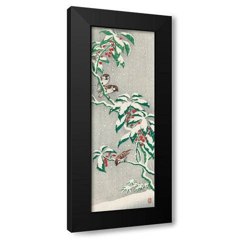 Sparrows on snowy berry bush Black Modern Wood Framed Art Print by Koson, Ohara
