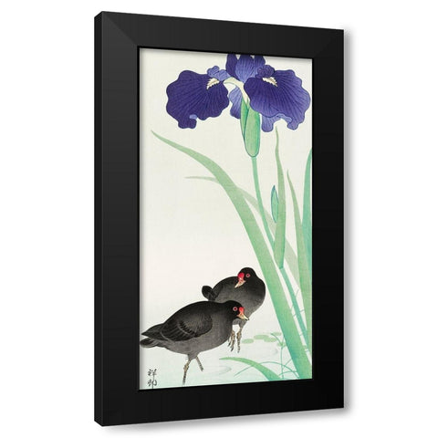 Waterhoots and iris Black Modern Wood Framed Art Print by Koson, Ohara