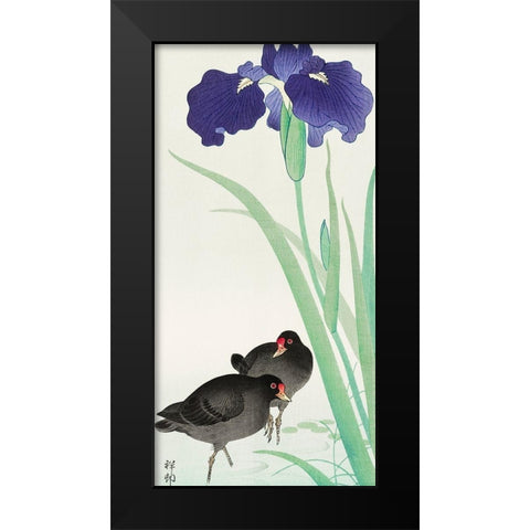 Waterhoots and iris Black Modern Wood Framed Art Print by Koson, Ohara