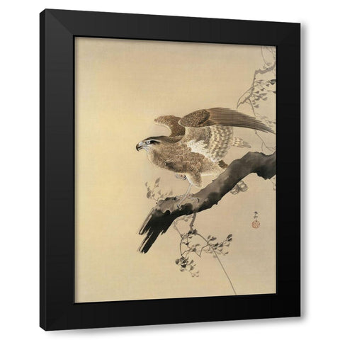 Hawk Black Modern Wood Framed Art Print by Koson, Ohara