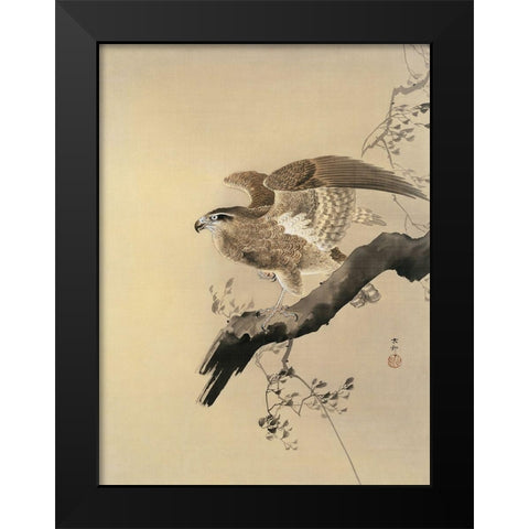 Hawk Black Modern Wood Framed Art Print by Koson, Ohara