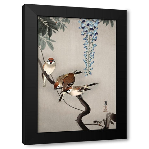 Ring sparrows at wisteria Black Modern Wood Framed Art Print by Koson, Ohara