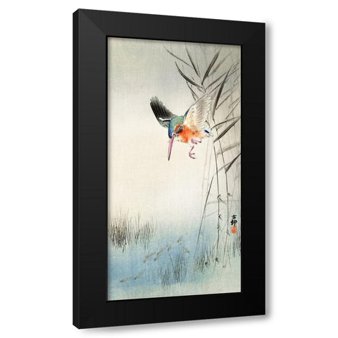 Kingfisher hunting for fish in the water Black Modern Wood Framed Art Print by Koson, Ohara
